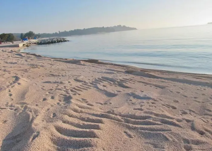 Debora With Private Pool And Backyard, Pet Friendly